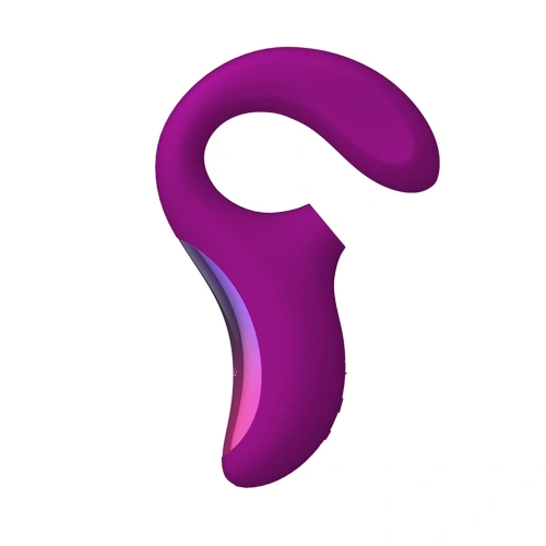 Luxury Rechargeable G-spot Rabbit Vibrator Lelo Enigma Pink [1]