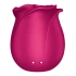 Irina Rechargeable clitoris stimulator rose Satisfyer Pro 2 Classic Blossom pink [4]