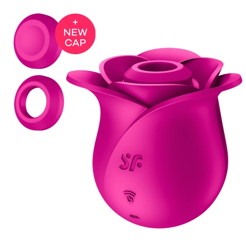 Irina Rechargeable clitoris stimulator rose Satisfyer Pro 2 Modern Blossom pink [3]