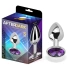 Small metal anal dilator with purple crystal After Dark [1]