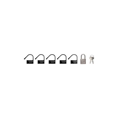 Dilyana Set of spare accessories for locking penis cages ManCage black
