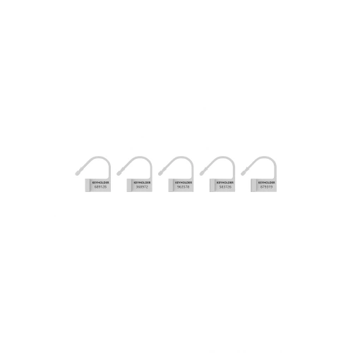 Dilyana - Set of spare accessories for locking penis cages ManCage white [1]