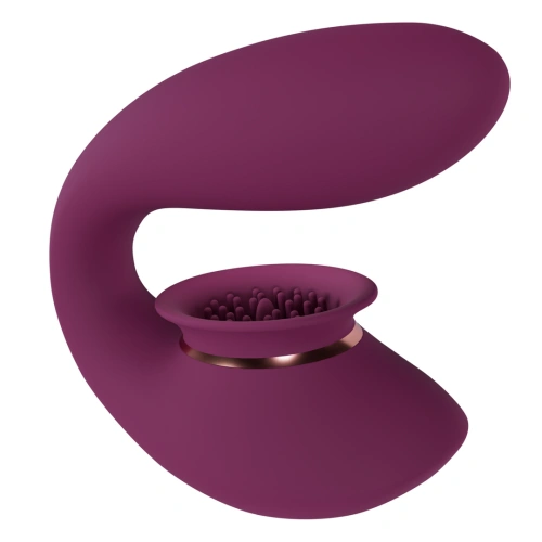 G-Spot vibrator and Twitch 3 suction clitoris [1]