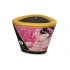 Shunga Aphrodisia rose scented massage candle [1]