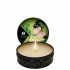 Shunga Geisha's Secret Collection 5-piece erotic set [5]