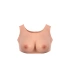 No idea what category to put it in - Nina - Starbust Paris C Light Flesh Realistic Silicone Bust