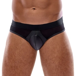 Svenjoyment men's briefs