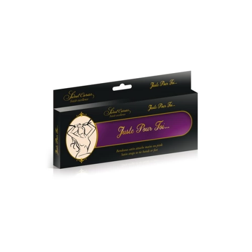 Juste Pour Toi Purple Satin Ribbon Tie Set [2]
