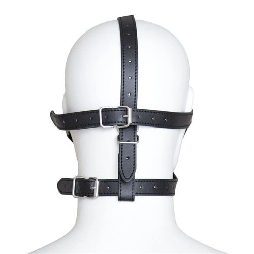 Fetish Art Face Restraint with Ball Mouth and Eye Mask [2]