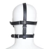 Fetish Art Face Restraint with Ball Mouth and Eye Mask [2]