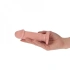 Small anal dildo with vacuum base Gino [5]