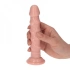 ​Small embossed anal dildo with vacuum base Ugo [4]