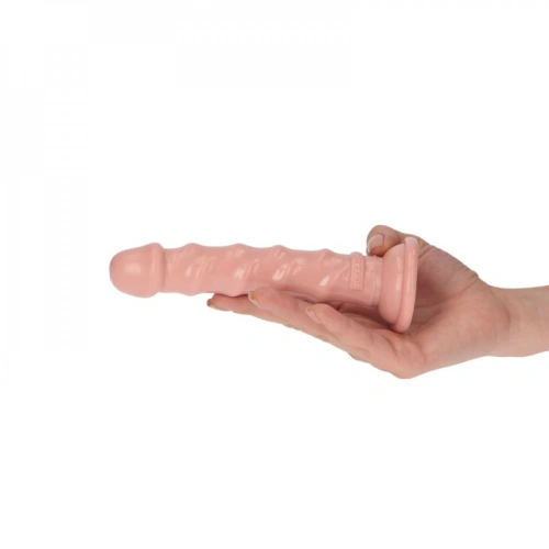 ​Small embossed anal dildo with vacuum base Ugo [5]