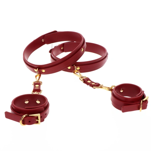 Taboom wrist and hip restraints [1]