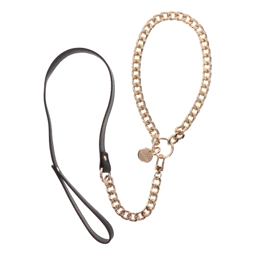 Taboom Dona Luxury BDSM collar with lead [1]