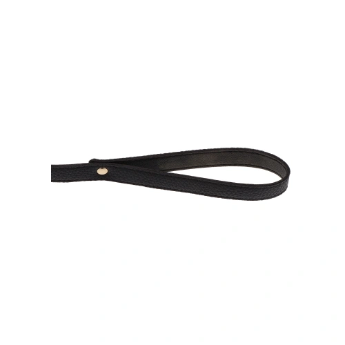 Taboom Dona Luxury BDSM collar with lead [11]