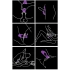 Icon Purple Rechargeable Silicone Couples Stimulator [3]