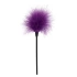 Feather for tickling Sexy Feather Tickler purple