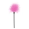 Toyjoy Sexy Feather Tickler