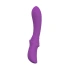 Convex purple silicone rechargeable vibrator [1]