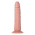 Dilyana Clemente realistic dildo [1]