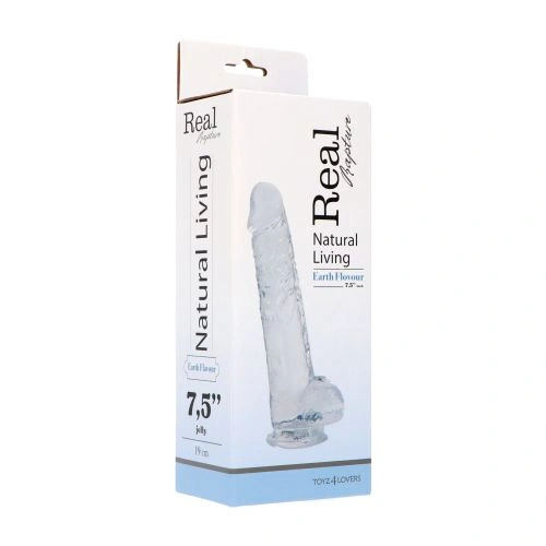 Realistic jelly dildo with testicles Earth Flavor 19 cm transparent [3]