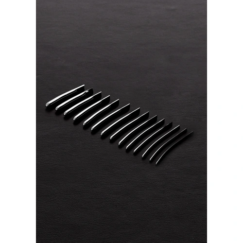 Nina - Set of 14 Triune TMS 2403 steel urethral dilators [2]