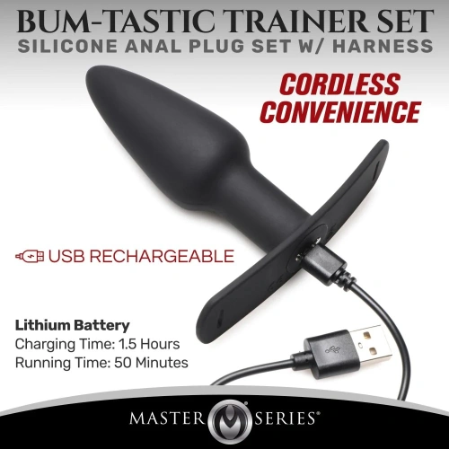 Vibrating expander with remote and Bum-Tastic belt [2]