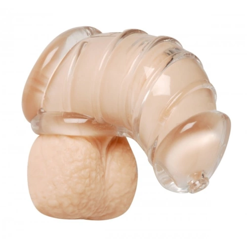 Flexible penis cage Chastity Cage [2]