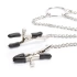 Metal clitoris and nipples clamps with chain BDSM [6]