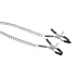Metal clitoris and nipples clamps with chain BDSM [7]