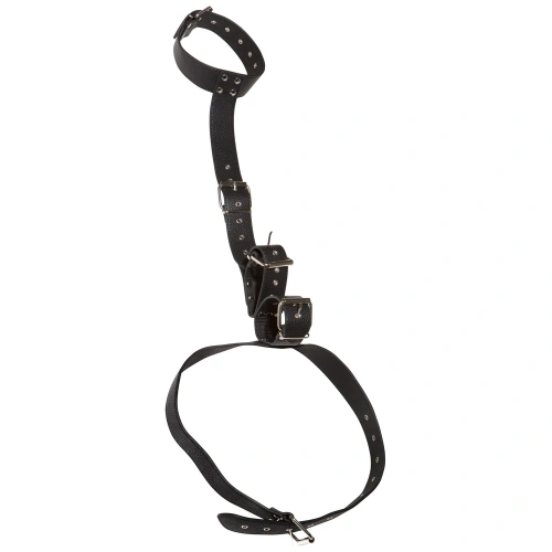 Bad Kitty Adjustable Collar with Wrist Restraints [3]