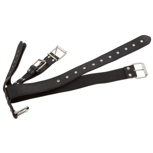 Bad Kitty Adjustable Collar with Wrist Restraints [4]