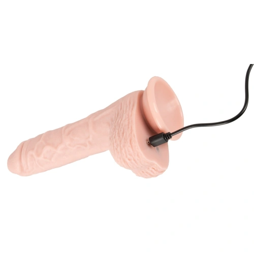 Dilyana Rechargeable realistic silicone dildo with remote You2Toys [4]