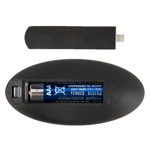Dilyana Rechargeable realistic silicone dildo with remote You2Toys [7]