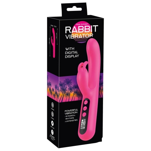 Dilyana Rechargeable Rabbit Vibrator with Pink Sunset Display [13]