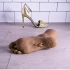Masturbator-skirt pussy Footin 'dark body color [9]
